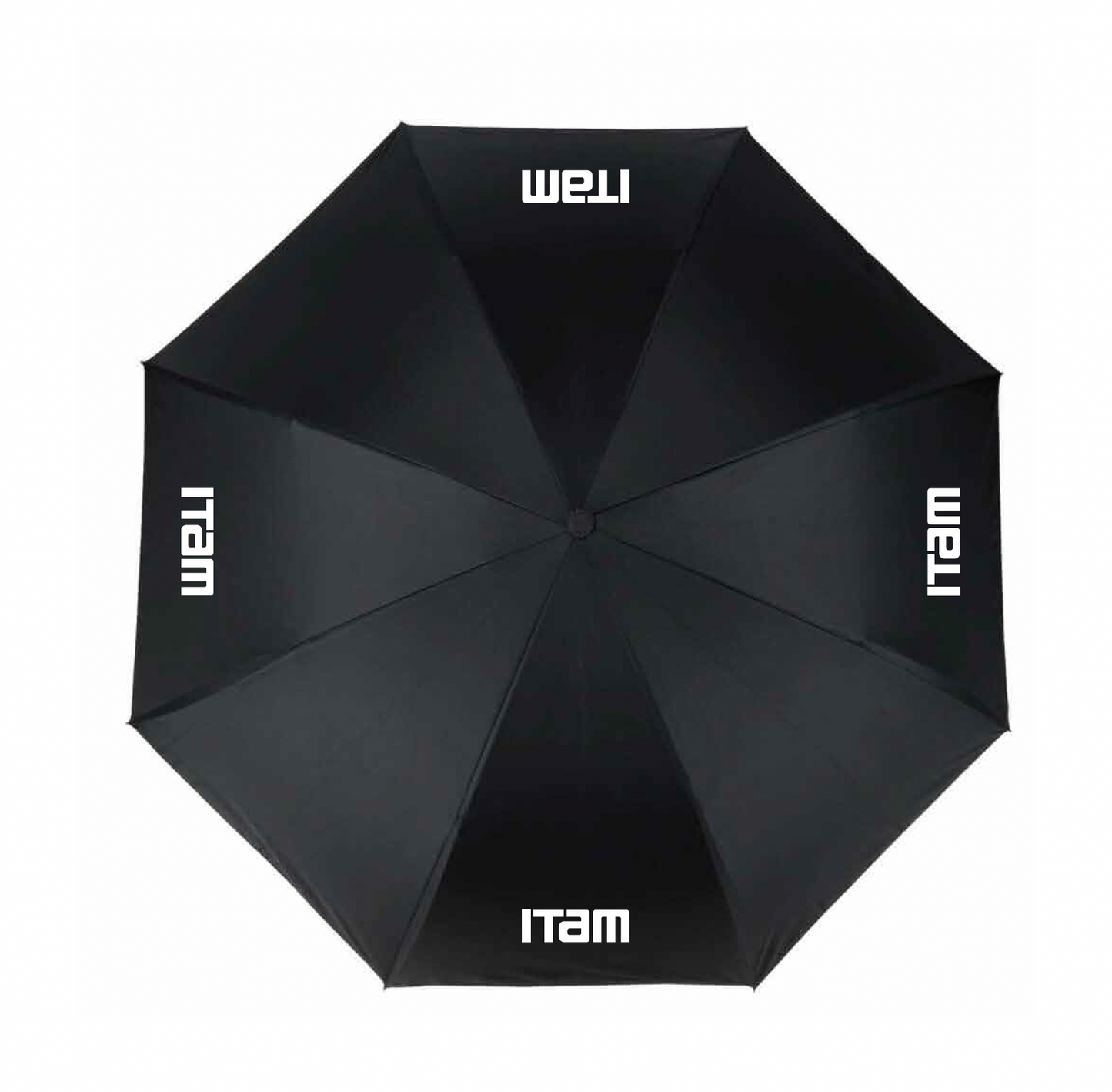 Paraguas automático