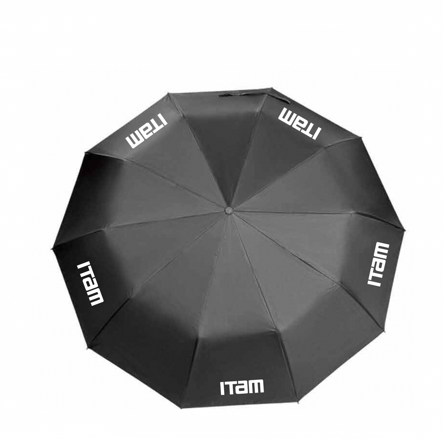 Paraguas automático de viaje